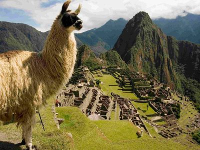 full day machu3