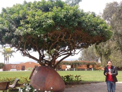 tour caballodepaso2